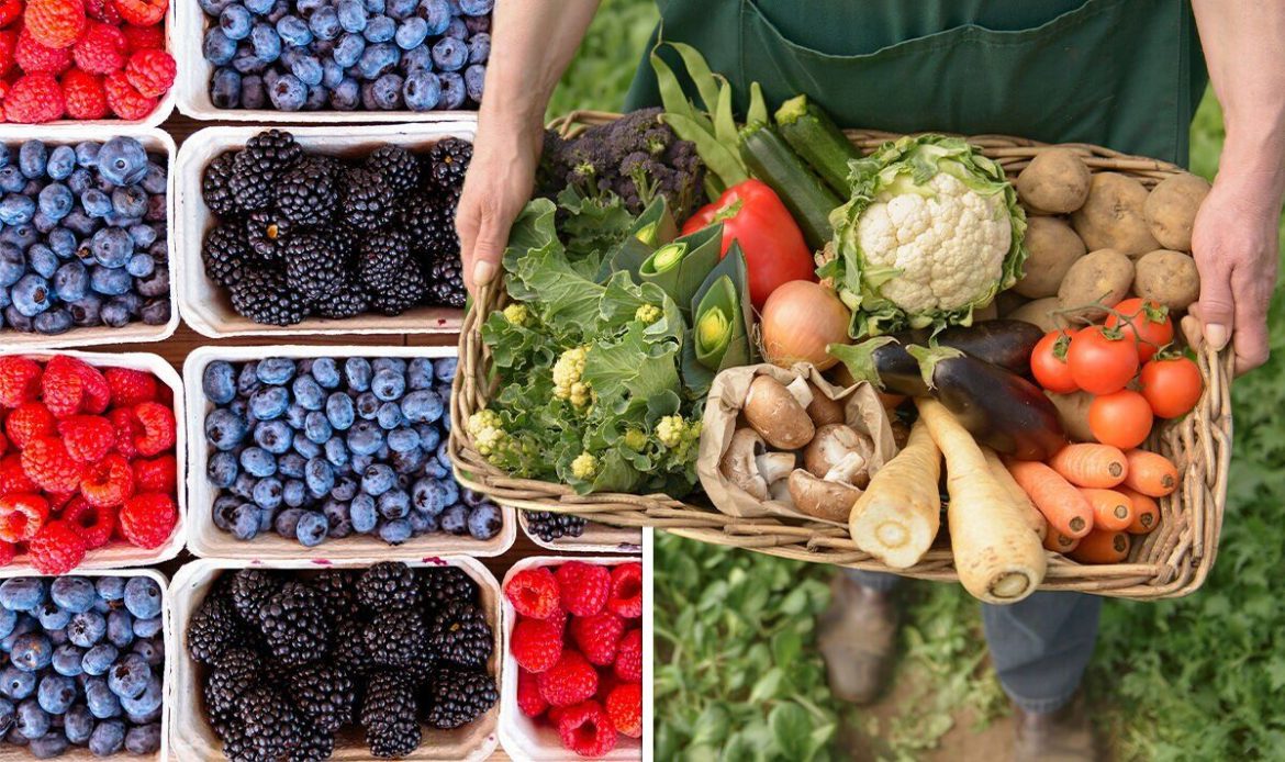 WhatsApp Image 2025-03-08 at 13.39.45_f973f223